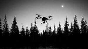Защита природы с воздуха: сможет ли дрон заменить инспектора в нацпарке?