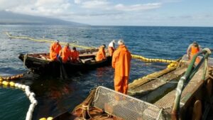 Лососевая путина на Камчатке превзошла самые смелые прогнозы