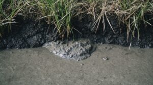 Камчатский застройщик заплатит штраф за разлив у реки Авача