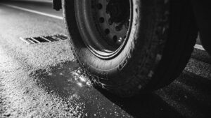 Частицы автомобильных шин достигли Арктики и угрожают геному животных