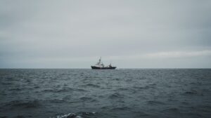 Договор об открытом море: что он значит для экологии российских морей