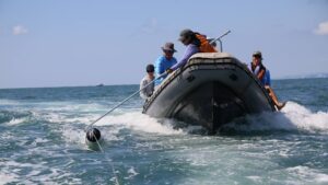 Когда океан просит о помощи: в Анадыре готовят спасателей для китов