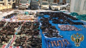 В Приморье поставлена точка в деле о контрабанде редких животных