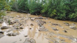 Золотодобытчиков Забайкалья оштрафовали за сброс отходов в реку Жипкоша