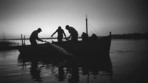 Защиту калуги и осетра доверят инспекторам рыбоохраны