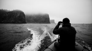 Орнитологи завершили уникальную экспедицию по &laquo;белым пятнам&raquo; Чукотки