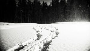 Браконьер из Приамурья заплатит более миллиона рублей за двух изюбрей