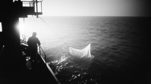 Куда исчезла сардина иваси: ученые ведут поиски в Тихом океане