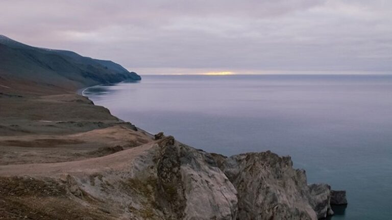 МСОП: острову Врангеля угрожают климат и освоение Арктики