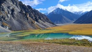 Реликтовая гусеница в горах Якутии: индикатор климатических угроз