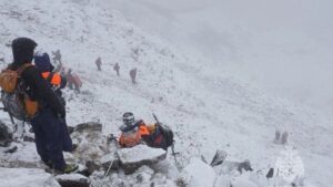 Цена запрета: экологические последствия закрытия камчатских вулканов