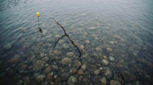 На Магаданке предложили разрешить бесплатный вылов горбуши