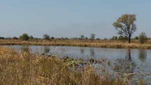 В Приморье создают новую экотропу на территории заказника «Тихий»