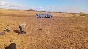 Охотоведы и студенты восстанавливают леса в амурских заказниках