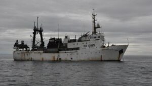 Поиски иваси у Курил и Сахалина пока не приносят результатов