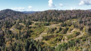 Сихотэ-Алинский заповедник против добычи золота в его охранной зоне