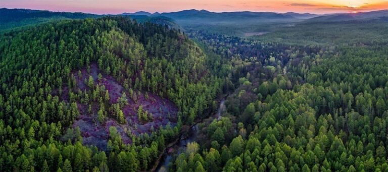 Прокуратура выявила ущерб природе у Сихотэ-Алинского заповедника