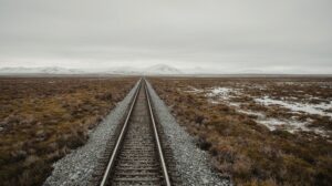 Тоннель на Аляску: главные экологические риски остаются на суше