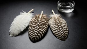 Как мутации в одном гене влияют на окрас дальневосточных сов