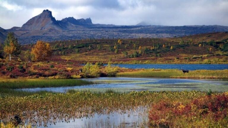 Вулкан на Камчатке создал озеро с уникальными рыбами