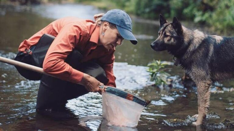 Изменение климата бьет по кормовой базе сахалинского лосося