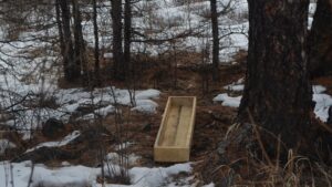 Фотоловушки и соль: в Забайкалье помогают диким животным пережить зиму