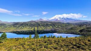 Эволюция в изоляции: как камчатские рыбы перестали взрослеть