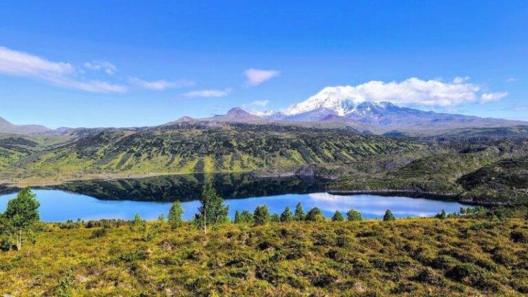 Эволюция в изоляции: как камчатские рыбы перестали взрослеть