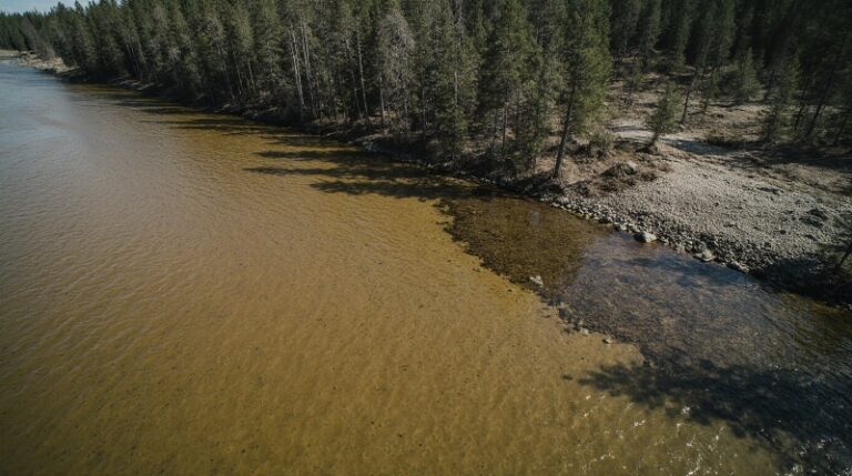 Хабаровские старатели выплатили 3 млн рублей за загрязнение рек