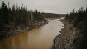 Загрязнение реки Бысса обошлось золотодобытчикам в 150 тысяч рублей