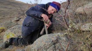 Новый краснокнижный вид найден вблизи угольных разрезов Бурятии