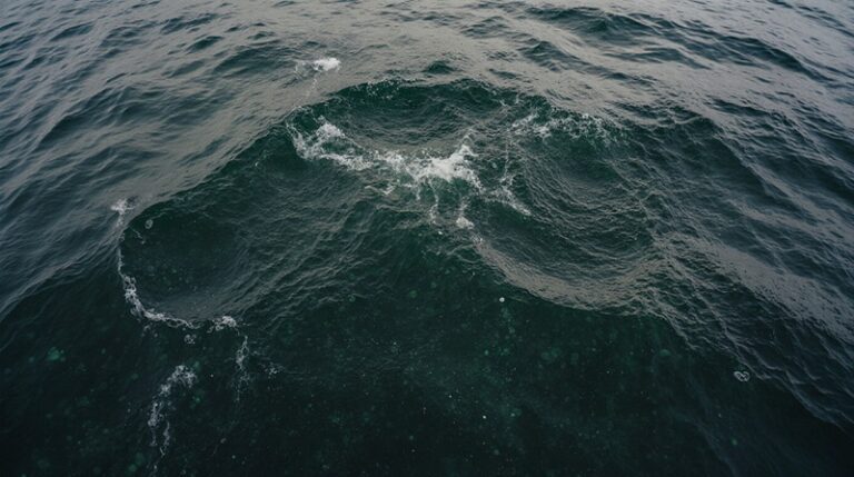 Пенжинская губа: рекордные приливы помогают бороться с изменением климата