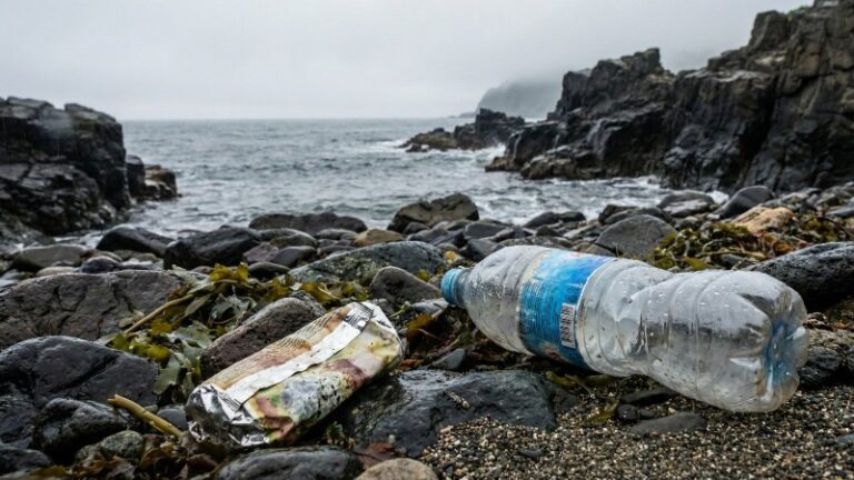 Рекордный турпоток в Приморье создает угрозу для экологии побережья