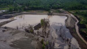 Загрязнение реки Малые Дамбуки обошлось старателям в миллионы рублей