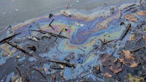 В реке Мучке обнаружили гигантское пятно нефтепродуктов