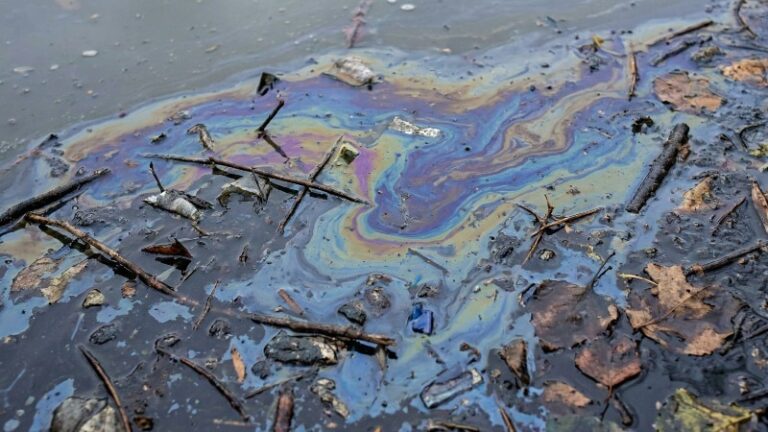 В реке Мучке обнаружили гигантское пятно нефтепродуктов