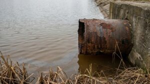 Власти Камчатки раскрыли планы по спасению Култучного озера