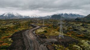 Изменения в законах о природе: от вырубок до застройки территорий