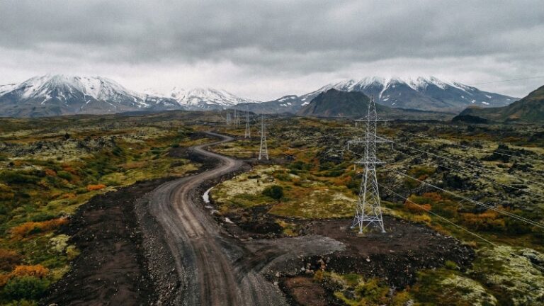 Изменения в законах о природе: от вырубок до застройки территорий