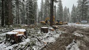 Эксперт предупреждает об опасности застройки российских заповедников