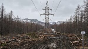 Золотодобытчик оштрафован за уничтожение леса при прокладке электросетей