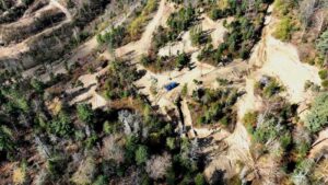 Золотодобытчики уничтожили лес у границ Сихотэ-Алинского заповедника