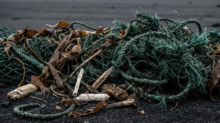 Заповедники Дальнего Востока очистят от мусора с помощью нейросетей