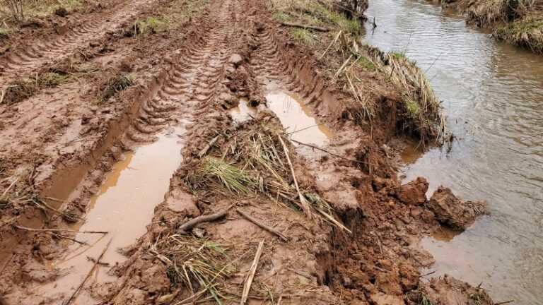 В Приамурье золотодобытчика оштрафовали за загрязнение ручья