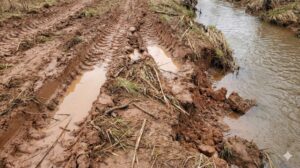 В Приамурье золотодобытчика оштрафовали за загрязнение ручья