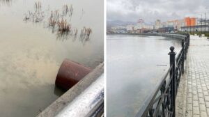 Озеро Соленое в Приморье загрязняют через шесть незаконных труб