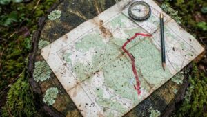 Новый закон позволит вырезать земли из нацпарков под инвестпроекты