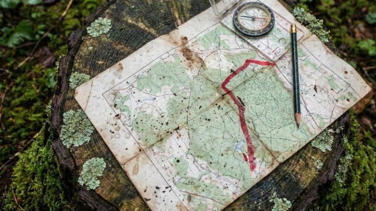 Новый закон позволит вырезать земли из нацпарков под инвестпроекты