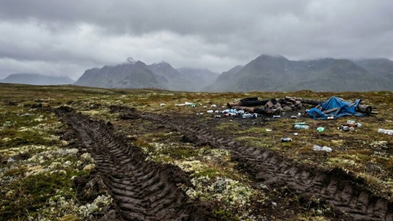 Упрощение туризма в заповедниках усилит нагрузку на природу Дальнего Востока
