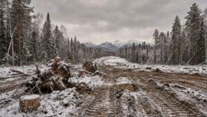 Заповедники Дальнего Востока рискуют потерять неприкосновенность